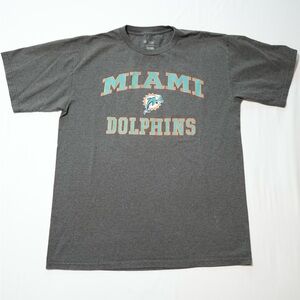 Vintage Miami Dolphins Men's T-Shirt NFL Team